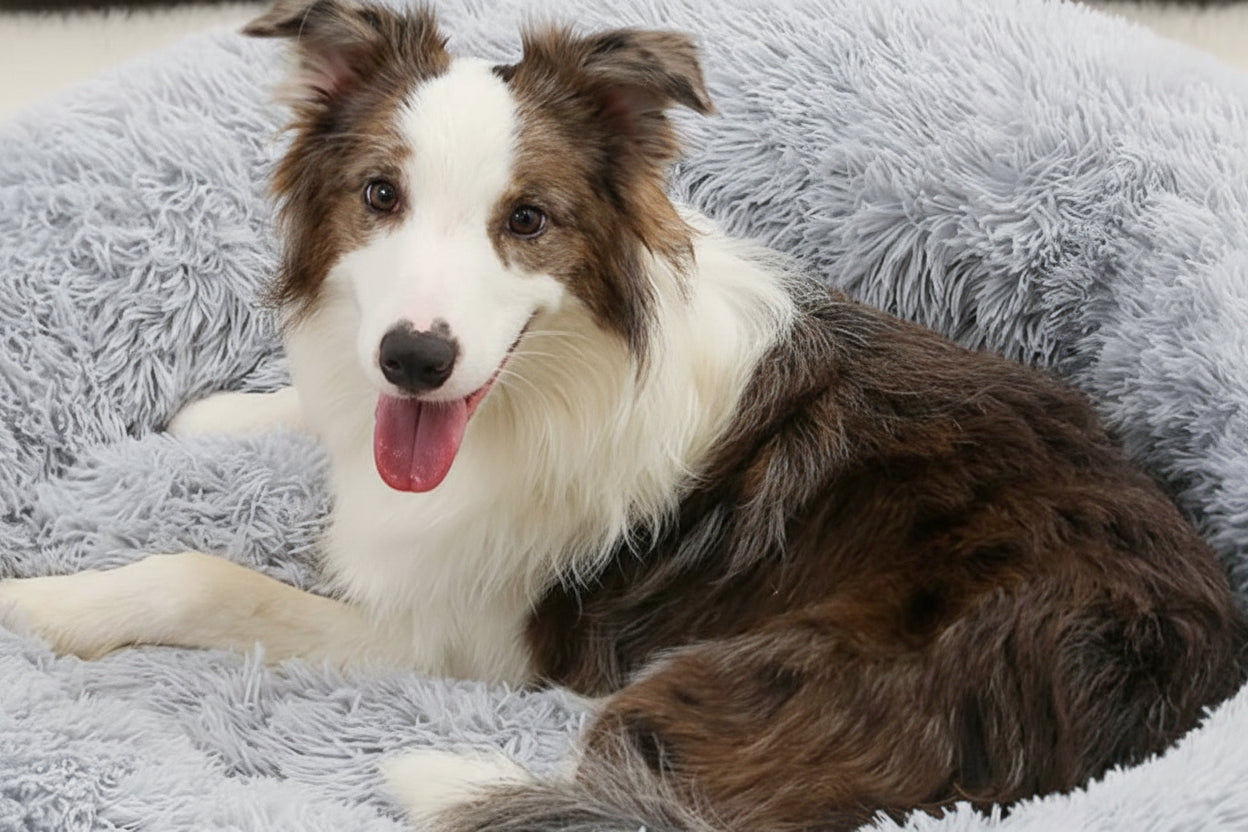 Beruhigendes Kuschelbett für Hunde & Katzen - Anti-Stress & Geborgenheit